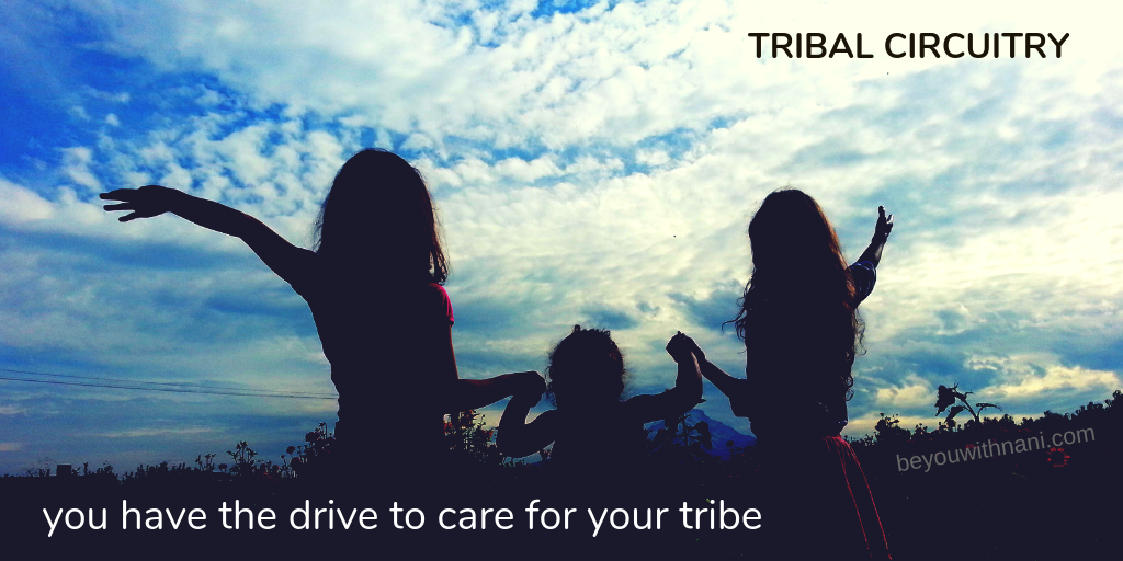 Human Design Tribal Circuitry - tribe (1)