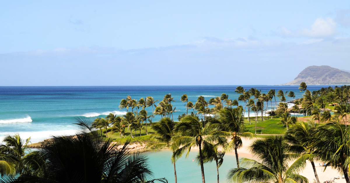 image of the bright blue ocean in hawaii with palm trees and an island in the background representing the feeling of vacation
