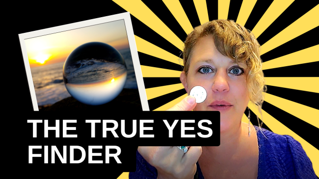 True-Yes-Finder-Cover-2026